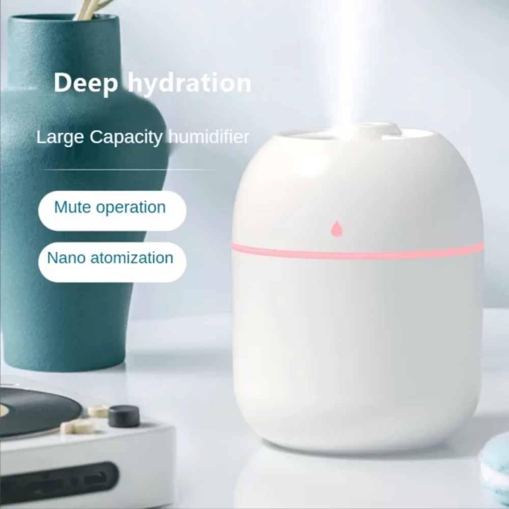COPY - Portable Mini Recorder USB Humidifier